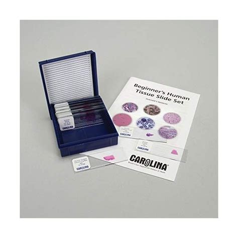 Beginner’s Human Tissue Microscope Slide Set | Human tissue, Microscope slides, Tissue