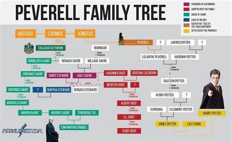 a family tree is shown with people in it