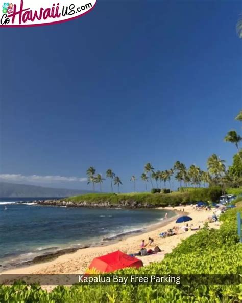 Kapalua Coastal Trail Hike, Maui: Complete 2024 Guide