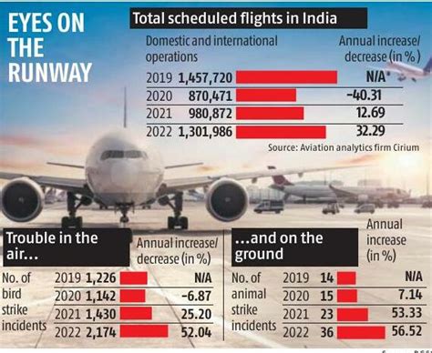 Aircraft bird hit incidents jump by 52% in 2022: DGCA