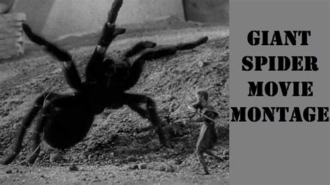 GIANT SPIDER Movie Montage - YouTube