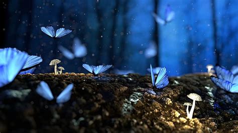 butterfly, blue, forest, fantasy, woods, dream, surreal, nature wallpaper, zoom background | Pikist