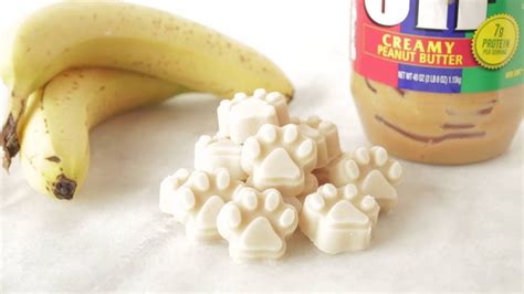 Frozen Dog Treats Yogurt Peanut Butter Banana - Banana Poster