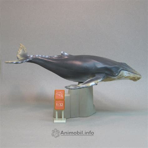 Schleich 16083 Humpback Whale - Toy Animal Wiki