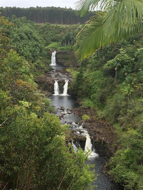 Family Travel Blog : Umauma Falls, Best zip lining experience on the Big Island of Hawaii