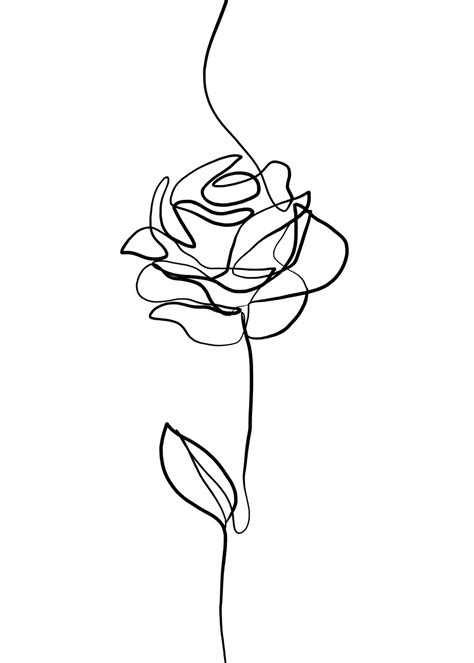 Kunstdruck Rose Line Drawing | Poster, Wandbilder und Tapeten | Europosters