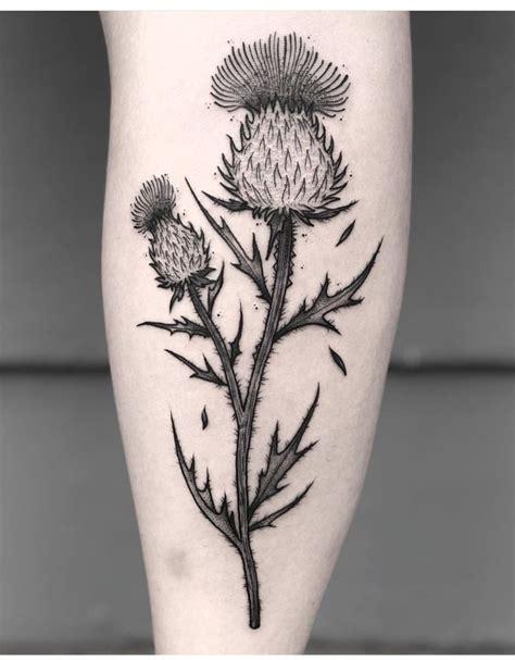 Pin by Lesha Henry on Tat | Scottish tattoos, Tattoos, Thistle tattoo black