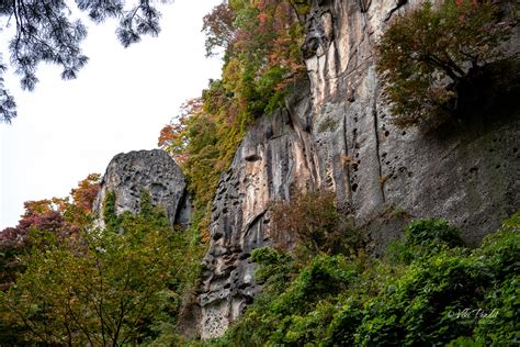 Fall leaves at Yamadera Temple - Rare Photos by Viki Pandit