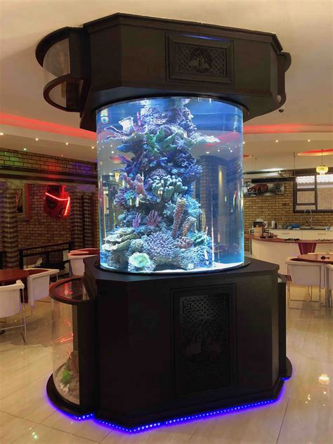 Custom Fish Tanks & Aquariums - We Build and Maintain Fish Tanks