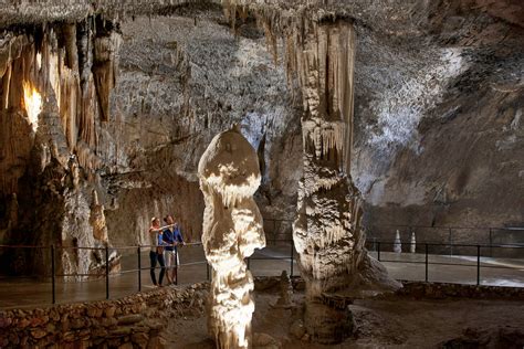 polmonite Medaglia esposizione postojna cave Aumentare Bevanda ricaderci