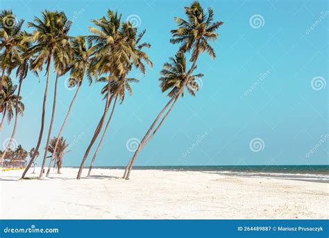 Al Haffa Beach at Salalah, Sultanate of Oman. Stock Image - Image of idyllic, arabian: 264489887