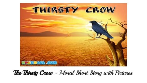 The Thirsty Crow Moral Story with Pictures for Kids