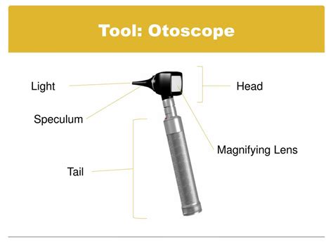 PPT - Step by Step guide to performing an Ear Exam PowerPoint Presentation - ID:3103653