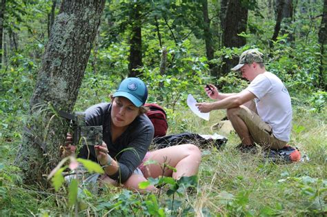 Field course gives students up-close look at tracking, studying wildlife | Wildlife biologist ...