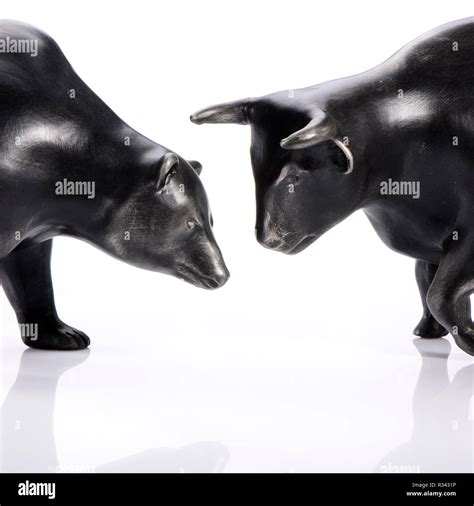 Bull Bear Fight High Resolution Stock Photography and Images - Alamy