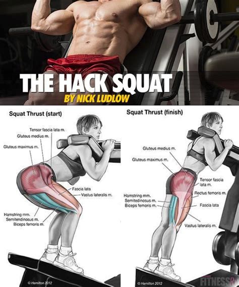 V SQUAT MACHINE | Video & Guide