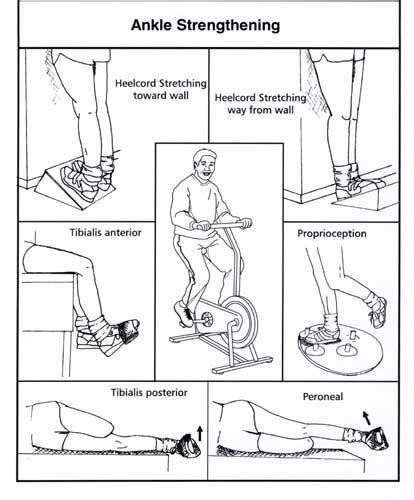 ankle sprain proprioception exercises pdf - Celine Adam