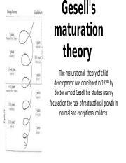 Arnold Gesell Theory Of Development