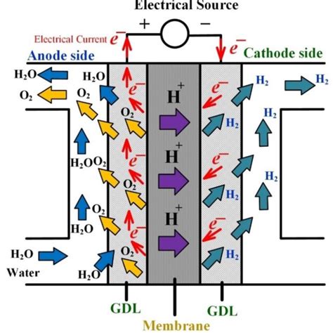 PEM electrolyzer equivalent electrical circuit. | Download Scientific ...