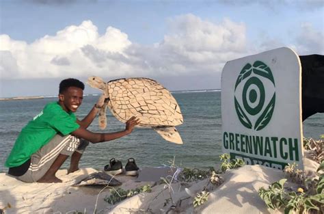 Stop illegal fishing in Somalia ( Awareness campaign) – Greenwatch Trust