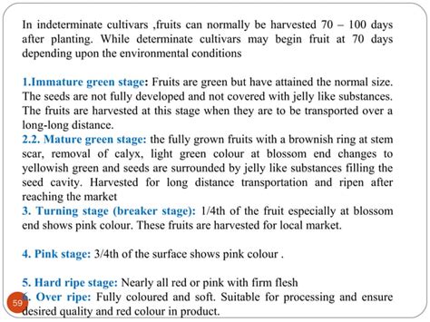 Tomato production technology