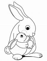 Bunny Coloring Pages For Free  Home sketch template
