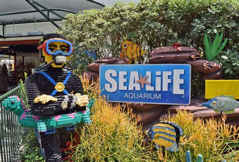 Save on the LEGOLAND California Water Park & Aquarium