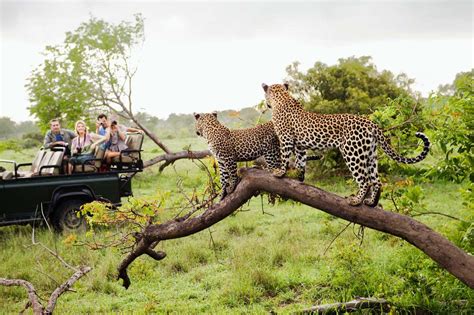 Astroturismo de safari por el Parque Kruger en Sudáfrica