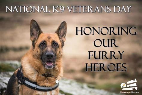 National K9 Veterans Day: Honoring Our Furry Heroes-HFH