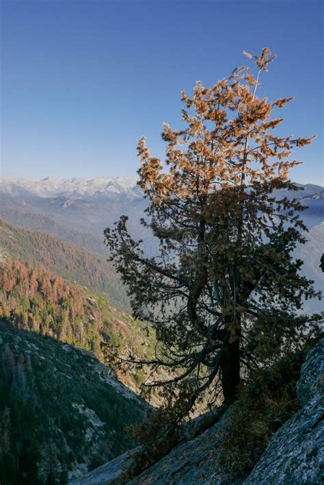 Moro Rock is a Granite Dome Rock Formation in Sequoia National Park, California, United States ...