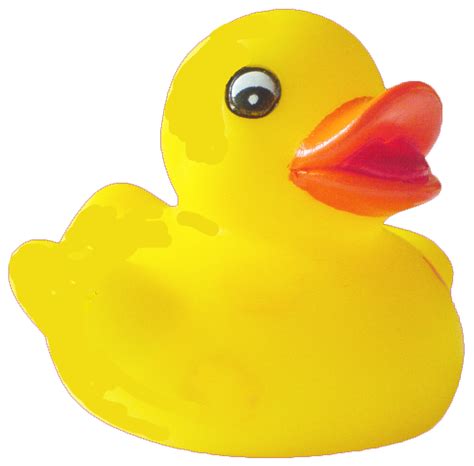 Duck Transparent HQ PNG Download | FreePNGimg