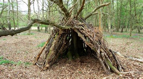 Annual Den Building Competition - Friends of Bourne Woods