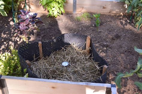 Anaerobic Composting 101 : A Brief Guide - The Scientific Gardener