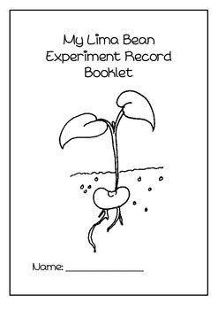 Lima Bean experiment booklet by Little-Learners | TpT