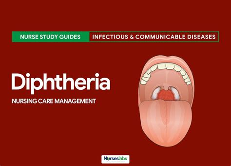 Diphtheria Nursing Care Management: Study Guide Nursing Diagnosis ...