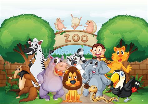 Zoo Animals Cartoon Png