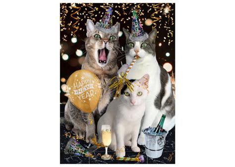 New Year Cat Photo Card: Happy New Year - Etsy