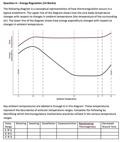 Regulation Of Body Temperature Diagram