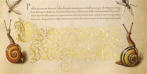 Two Intricate Calligraphy Pages from the Sixteenth-Century Manuscript ...