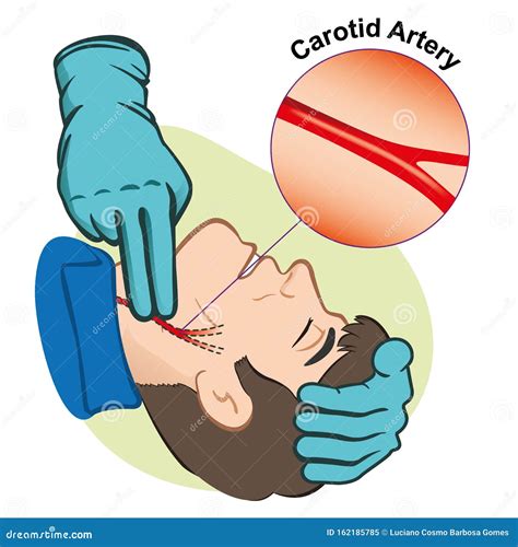 3d Illustration Of One Person Consisting Of Different Colored Areas In ...