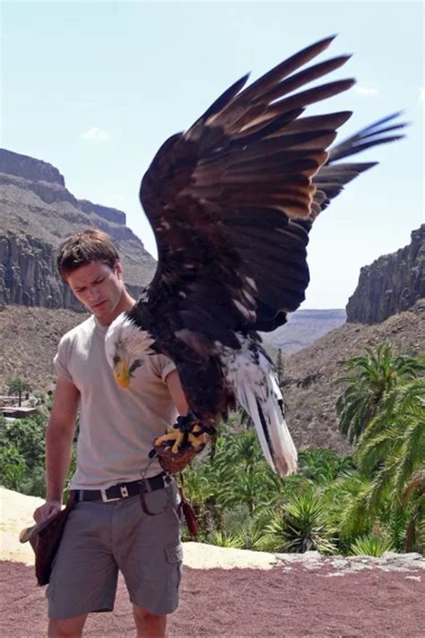 Eagles Are Big | Pet birds, Animals beautiful, Bald eagle