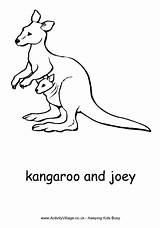 Australian Animals Coloring Pages To Print  Kangaroo Colouring Joey sketch template