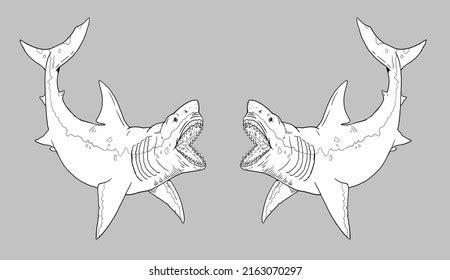 Prehistoric Shark Megalodon Big Shark Drawing Stock Illustration 2163070297 | Shutterstock