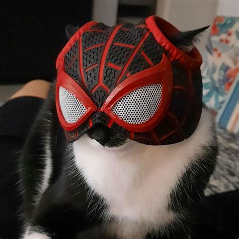 SPIDER CAT MILES MORALES - Mask impreso en 3D・Cults