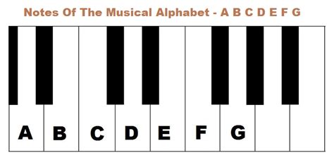 How to read piano notes