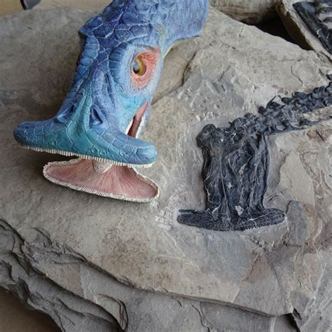 First herbivorous marine reptile