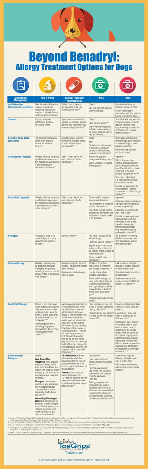 What Is the Best Antihistamine for Dog Allergies