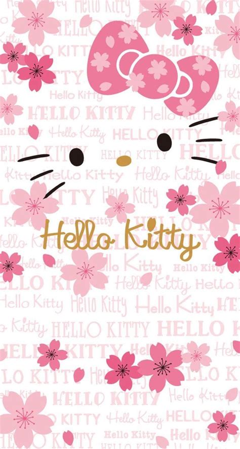 Hello Kitty Floral Wallpapers - Wallpaper Cave