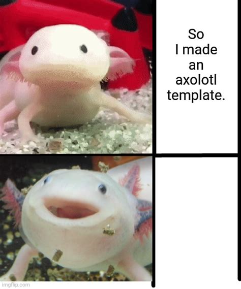 Axolotl_memes Memes & GIFs - Imgflip