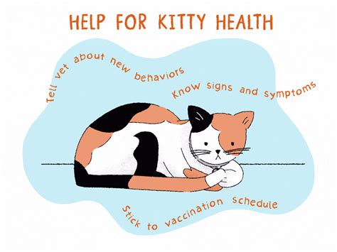 Signs of Cat Illness - CatPedia